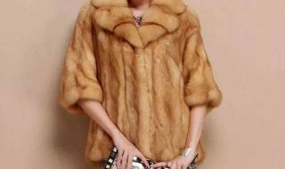 皮草掉毛严重怎么解决(皮草掉毛严重怎么解决图片)