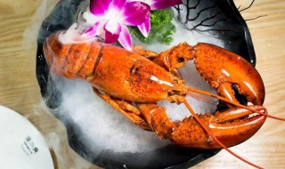 波士顿龙虾保存方法 波士顿龙虾3种保存方法介绍