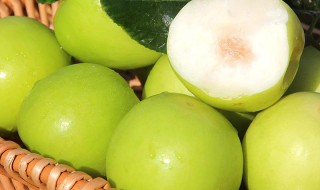 牛奶枣的保存方法(牛奶枣怎么保鲜)