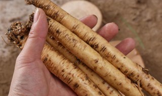 新鲜党参如何保存方法(新鲜党参怎么保存方法)