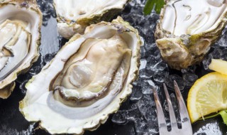 鲍鱼生蚝怎么保存方法 生蚝的怎么保存方法