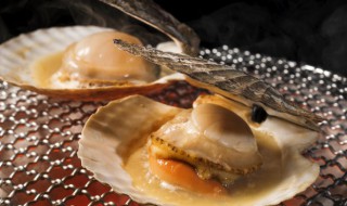 带壳扇贝如何保存方法 带壳扇贝如何保存方法视频