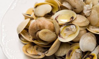 贝壳怎么选(贝壳怎么选房东直租)