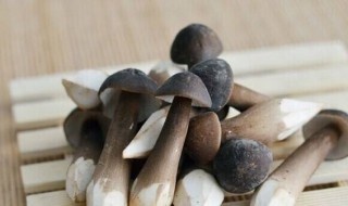 黑松茸保存方法 黑松茸保存方法视频