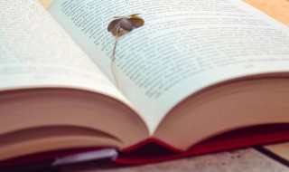 关于雨唯美英文诗(雨的英文诗歌)