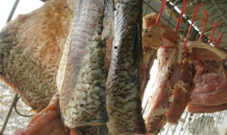 腌鱼几天可以拿出来晒 鱼腌几天可以拿出去晒