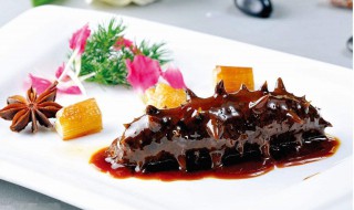 海参最好的吃法怎么做 海参最好的吃法怎么做视频