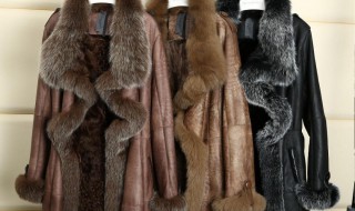 狐狸皮毛保存方法 狐狸皮毛保存方法视频