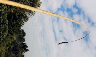 竹鱼竿的制作方法 竹鱼竿的制作方法视频教程