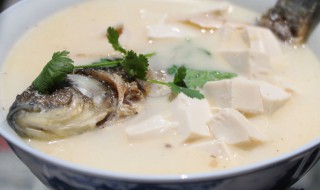 鲫鱼马蹄汤怎么做 马蹄鲫鱼汤的做法视频