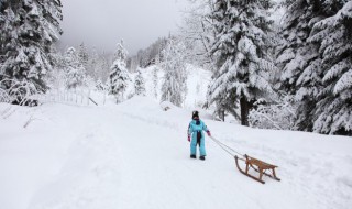 平行板滑雪教程（平行式滑雪教程）