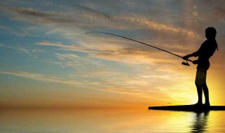 冬天钓红尾鱼技巧（冬天钓红尾鱼的钓法）