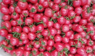 清洗千禧果的最新方法 清洗千禧果的最新方法图片