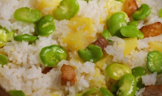 焖饭美食教程(焖饭美食教程图片)