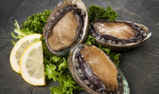 泡椒鲍鱼教程 泡椒鲍鱼教程视频