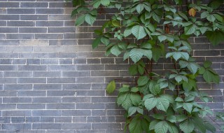 墙体如何做防晒（墙体防晒处理）