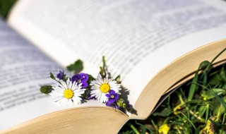 各种奇葩的分手理由(那些奇葩的分手理由)