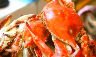 蟹怎么保鲜才新鲜（蟹怎么保鲜才新鲜呢）