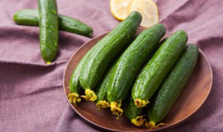 黄瓜放保鲜里怎么保存 黄瓜如何存放保鲜