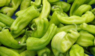 辣椒怎么运输保鲜 辣椒怎么运输保鲜的