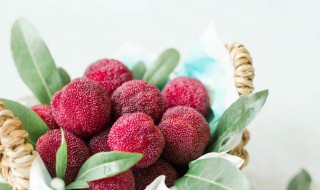 杨梅怎么可以保鲜久（杨梅怎么可以保鲜久些）