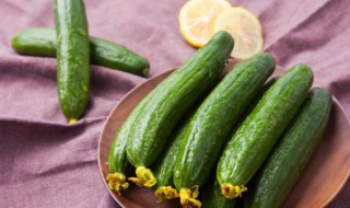 黄瓜怎么保鲜时间长 黄瓜怎么保鲜时间长一些