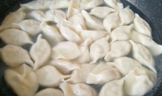 包菜馅饺子要怎么做 关于包菜馅饺子要怎么做