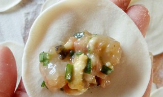 家庭自制菜鸡蛋虾仁馅饺子（家庭自制菜鸡蛋虾仁馅饺子怎么调馅）