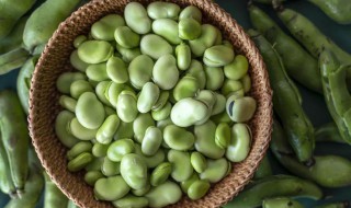 香炒蚕豆米如何做 蚕豆怎么炒好吃又简单的做法