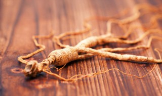 干人参片保存方法（干人参片保存方法及用量）