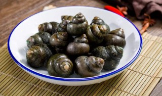 十种不能吃的螺（十种不能吃的螺图片）