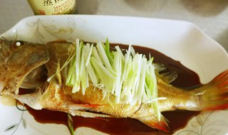 如何制作清蒸红棕鱼（如何制作清蒸红棕鱼视频）