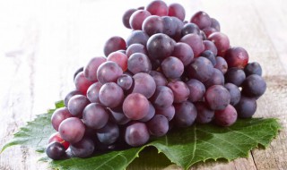 葡萄可以过安检带上飞机吗 飞机有关水果的托运规定