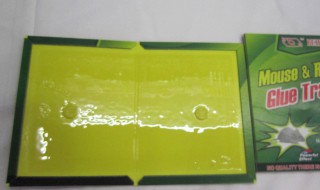 老鼠胶粘鞋底怎么洗掉（鞋粘老鼠的胶怎么洗掉）