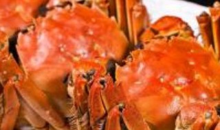 十种极寒食物 十种极寒食物是什么