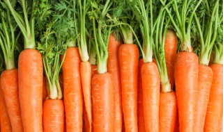 胡萝卜冻了还能吃吗