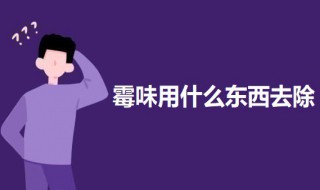 霉味用什么东西去除（用什么去除霉味道）