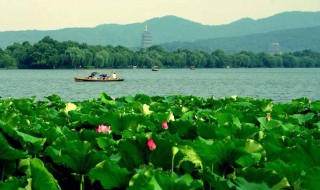 西湖为什么也叫西子湖 西湖为什么叫西子湖畔