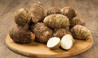 栽毛玉方法（种毛玉怎么种）