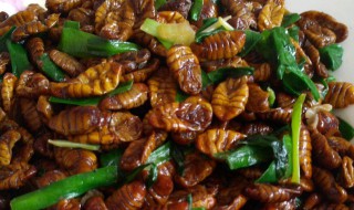 炒小蚕蛹最正宗的方法(炒小蚕蛹最正宗的方法窍门)