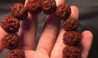 菩提手串保养方法（菩提手串保养方法图解）