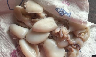 大烤墨鱼仔怎么做 大烤墨鱼仔的做法大全