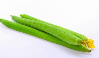 丝瓜冬瓜能一起吃吗（丝瓜和冬瓜可以一起吃吗?）