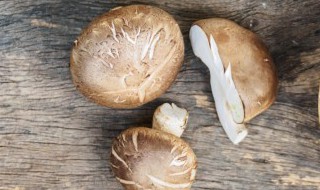 红烧香茹怎么做 香茹怎么烧好吃