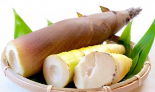 怎么炒冬笋 怎么炒冬笋才不会麻