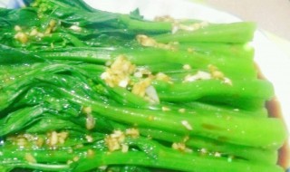 爆虾菜心怎么做 卷心菜炒虾的做法