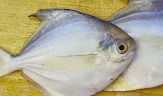 鱼肉馅怎么做没有刺 鱼肉怎么去刺做馅