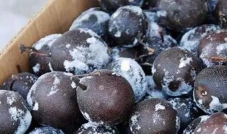 冻梨子怎么做好吃（冻梨子怎么做好吃窍门）