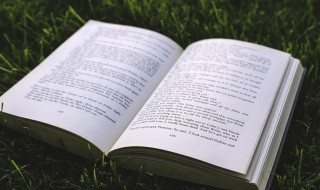 窗外雨的诗句(窗外雨的诗句美好诗句)