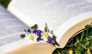 2021朋友圈最火的说说学生（2021最新朋友圈毕业说说短句大全）